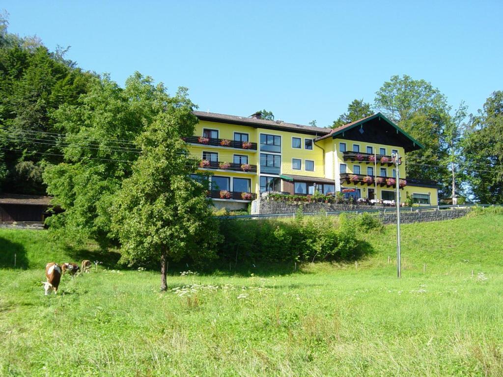 Hotel Zur Schonen Aussicht Ubersee Ngoại thất bức ảnh